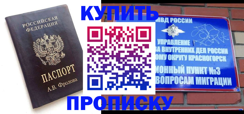 прописка поиск в Долгопрудном